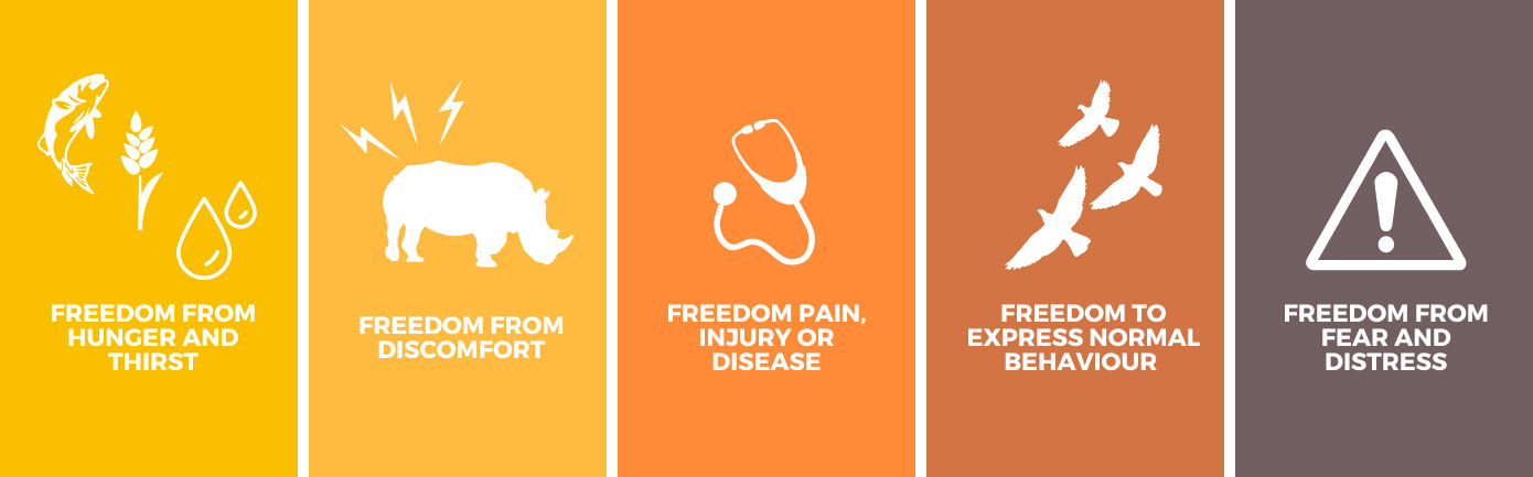  The 5 freedoms, set forth in 1979 by the Farm Animal Welfare Council (now Animal Welfare Council since 2019)